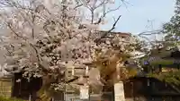 立本寺の自然