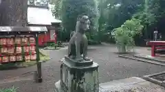 冠稲荷神社の狛犬