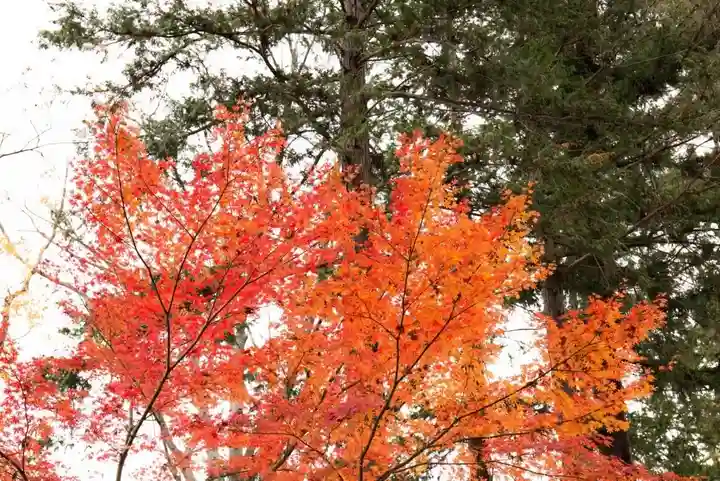 眞田神社の自然