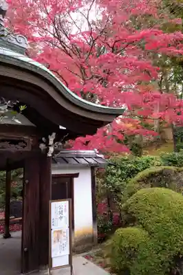 榮攝院（栄摂院）(京都府)