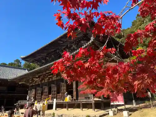 圓教寺(兵庫県)