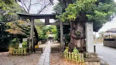 畑子安神社(千葉県)
