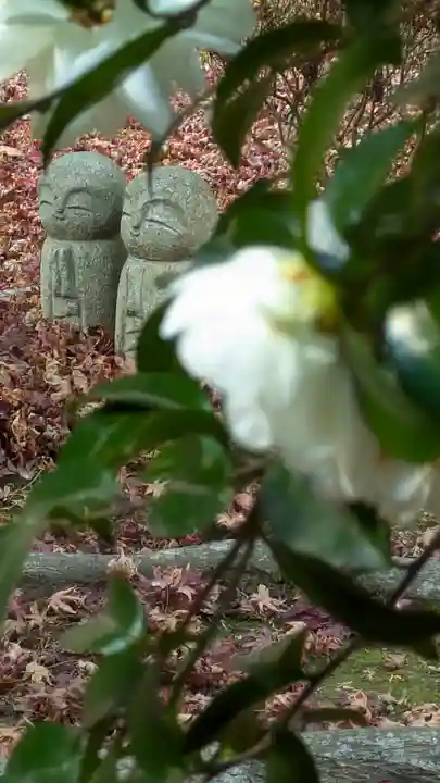 柳谷観音 楊谷寺(京都府)