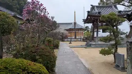 稱名寺の庭園
