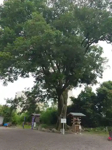 石坐神社(滋賀県)