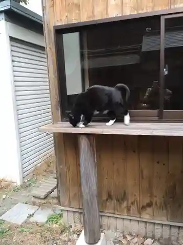 道祖神社の動物