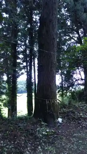 寄宮神社の自然