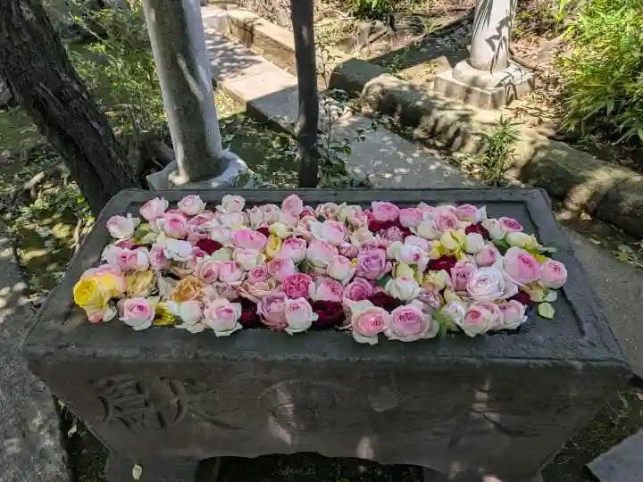 鳩ヶ谷氷川神社の{uncategorized: "未分類", other: "その他", undefined: "問題あり", building: "その他建物", grave: "お墓", sacred_gate: "鳥居", guardian: "狛犬", statue: "像", buddha: "仏像", history: "歴史", nature: "自然", garden: "庭園", animal: "動物", pagoda: "塔", temizu: "手水舎", mountain_gate: "山門・神門", sanctuary: "本殿・本堂", subordinate: "末社・摂社", art: "芸術", scenery: "景色", jizo: "地蔵", ema: "絵馬", goshuin: "御朱印", omikuji: "おみくじ", items: "授与品その他", amulet: "お守り", goshuincho: "御朱印帳", eats: "食事", festival: "お祭り", votive_dance: "神楽", shichigosan: "七五三参", wedding: "結婚式", experience: "体験その他", initially: "初詣", around: "周辺", anti_infection: "感染症対策"}
