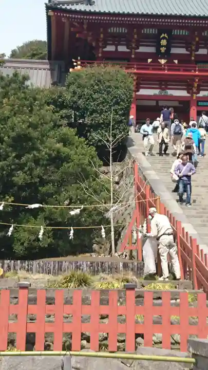鶴岡八幡宮(神奈川県)