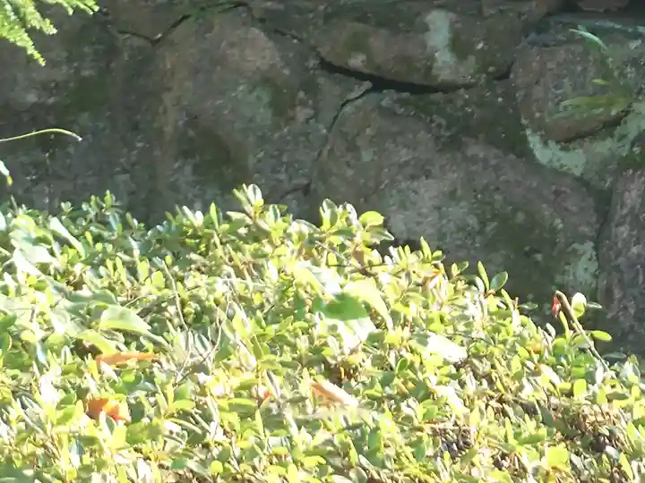 速谷神社(広島県)
