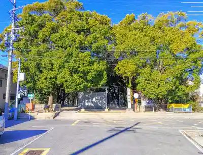 神明社（土器野神明社）の自然