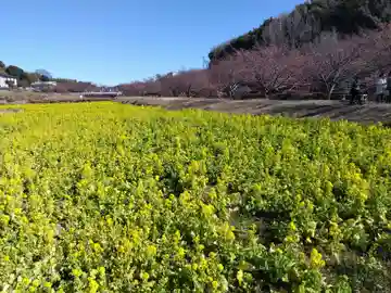 白山神社(静岡県)