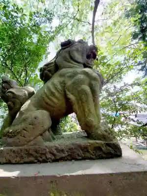 愛宕神社の狛犬