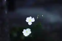 浄土寺(兵庫県)