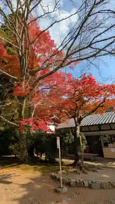 神護寺(京都府)