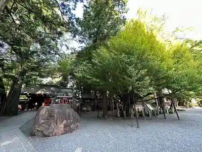 秩父神社(埼玉県)