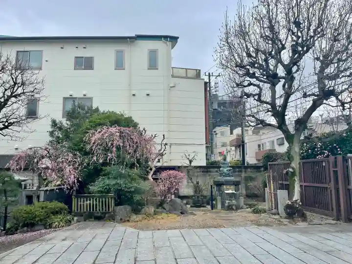 常泉寺の{uncategorized: "未分類", other: "その他", undefined: "問題あり", building: "その他建物", grave: "お墓", sacred_gate: "鳥居", guardian: "狛犬", statue: "像", buddha: "仏像", history: "歴史", nature: "自然", garden: "庭園", animal: "動物", pagoda: "塔", temizu: "手水舎", mountain_gate: "山門・神門", sanctuary: "本殿・本堂", subordinate: "末社・摂社", art: "芸術", scenery: "景色", jizo: "地蔵", ema: "絵馬", goshuin: "御朱印", omikuji: "おみくじ", items: "授与品その他", amulet: "お守り", goshuincho: "御朱印帳", eats: "食事", festival: "お祭り", votive_dance: "神楽", shichigosan: "七五三参", wedding: "結婚式", experience: "体験その他", initially: "初詣", around: "周辺", anti_infection: "感染症対策"}