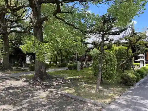 安樂壽院(京都府)