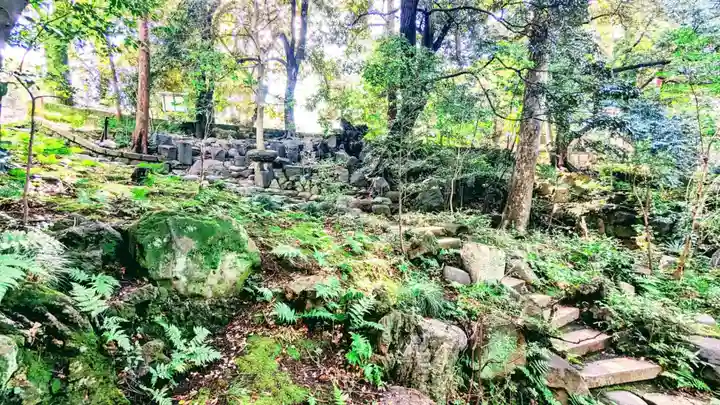 赤坂氷川神社の自然