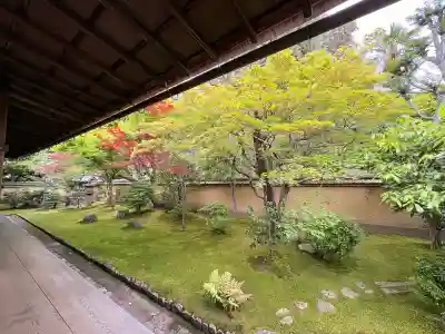 興臨院の{uncategorized: "未分類", other: "その他", undefined: "問題あり", building: "その他建物", grave: "お墓", sacred_gate: "鳥居", guardian: "狛犬", statue: "像", buddha: "仏像", history: "歴史", nature: "自然", garden: "庭園", animal: "動物", pagoda: "塔", temizu: "手水舎", mountain_gate: "山門・神門", sanctuary: "本殿・本堂", subordinate: "末社・摂社", art: "芸術", scenery: "景色", jizo: "地蔵", ema: "絵馬", goshuin: "御朱印", omikuji: "おみくじ", items: "授与品その他", amulet: "お守り", goshuincho: "御朱印帳", eats: "食事", festival: "お祭り", votive_dance: "神楽", shichigosan: "七五三参", wedding: "結婚式", experience: "体験その他", initially: "初詣", around: "周辺", anti_infection: "感染症対策"}