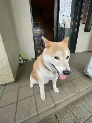 笠䅣稲荷神社(神奈川県)