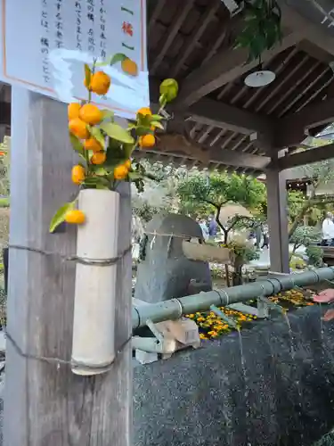 賀茂別雷神社（上賀茂神社）(京都府)