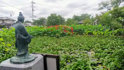 善長寺の庭園