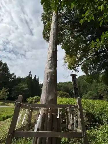諏訪大社上社前宮(長野県)