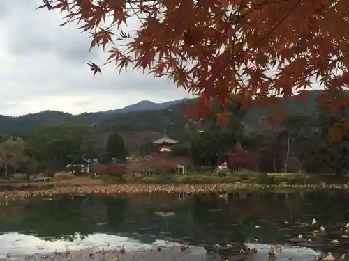 大覚寺の景色