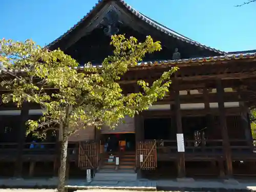豊国神社 の本殿・本堂