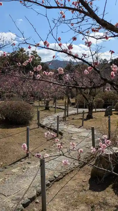 隨心院(随心院)(京都府)