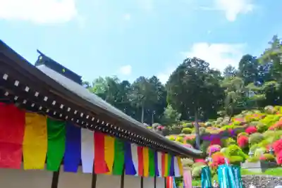塩船観音寺(東京都)