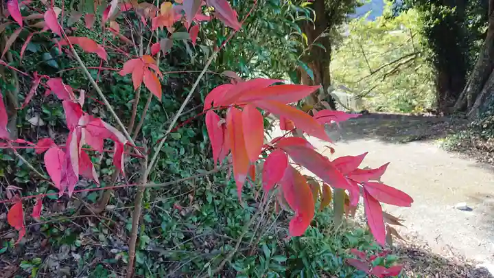 山神社(戸田)の自然