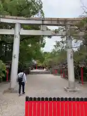 市原稲荷神社の鳥居