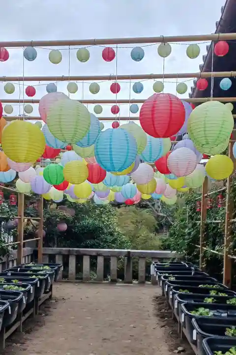 おふさ観音(観音寺)(奈良県)