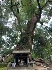 生目神社(宮崎県)