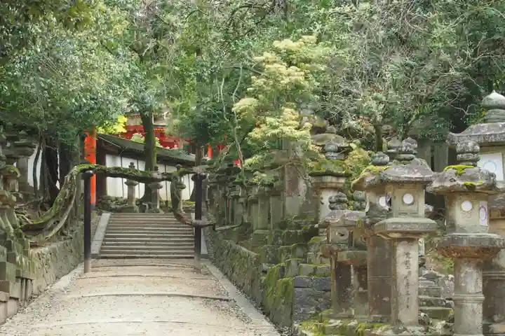 春日大社(奈良県)