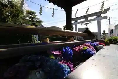 豊景神社の鳥居