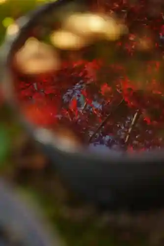 勝林寺(京都府)