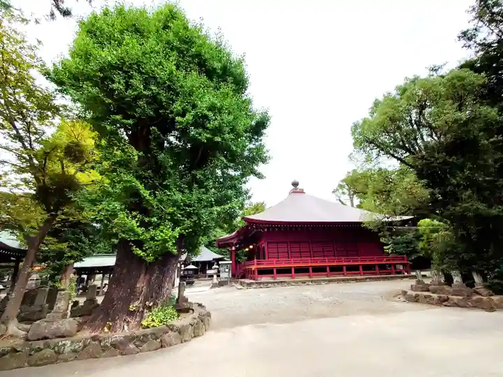 勝福寺(神奈川県)