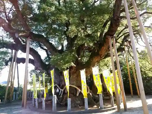 大宮神社の建物その他