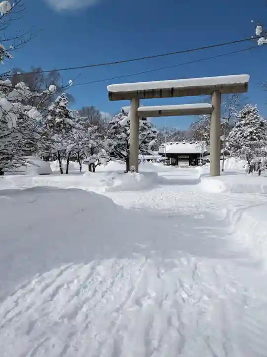 札幌護國神社の鳥居