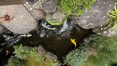長谷寺(神奈川県)