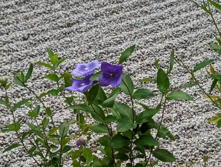 金福寺(京都府)
