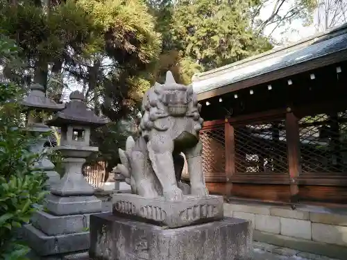 御霊神社（上御霊神社）の狛犬