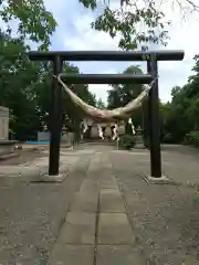 愛國神社の鳥居