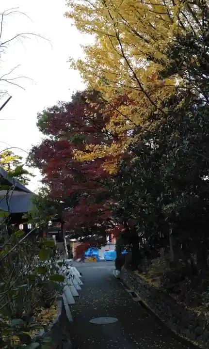 高幡不動尊 金剛寺のその他建物