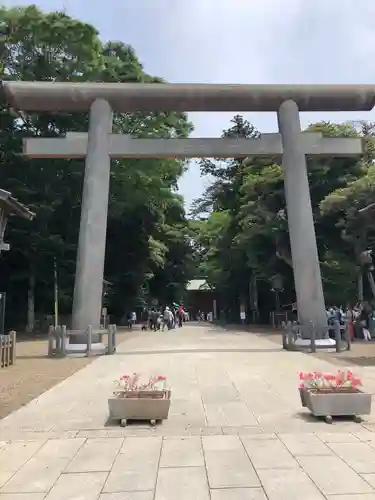 鹿島神宮の鳥居