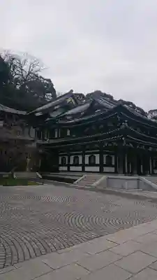 長谷寺の本殿・本堂