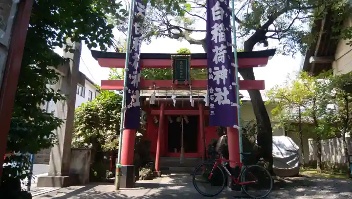 須賀神社の鳥居